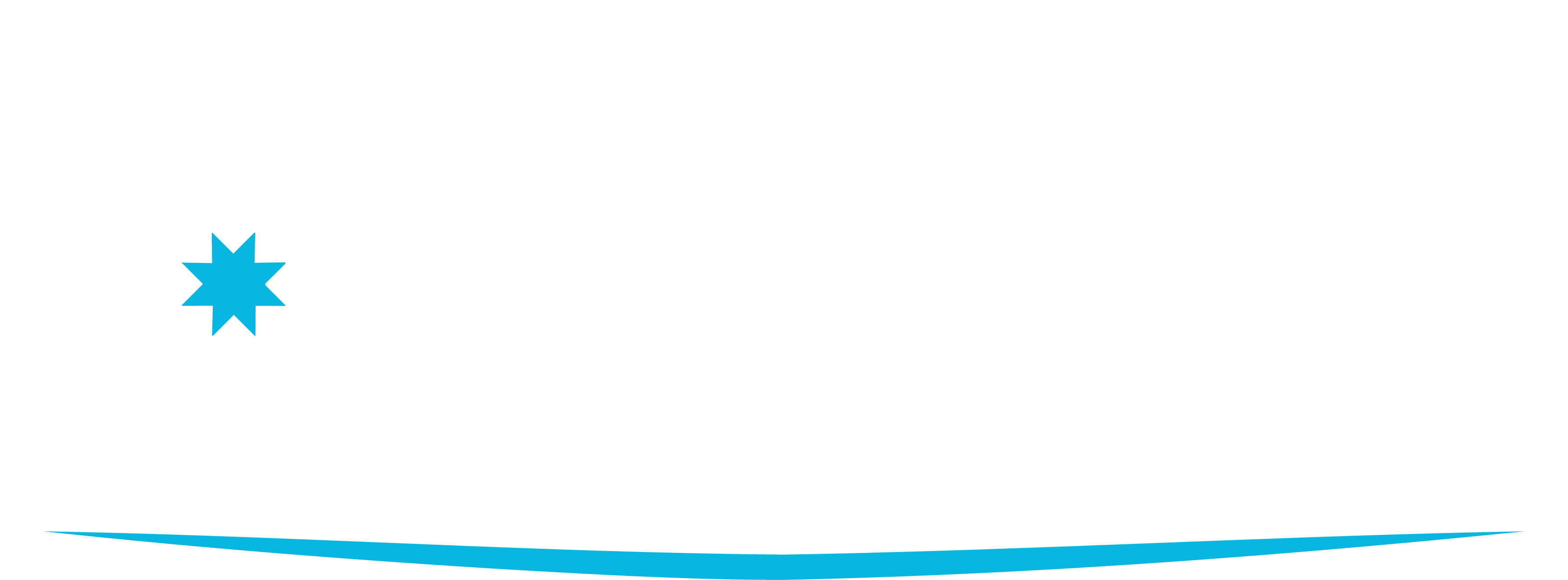 FroFast Logo